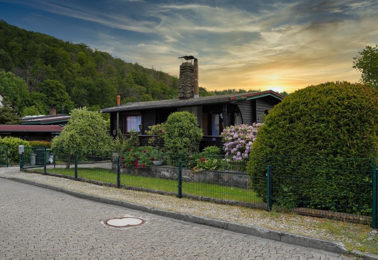 Appartamento Ferienblockhaus Harzidyll Wieda Esterno foto